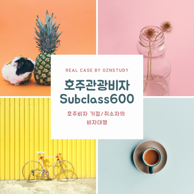  호주 비자거절/취소자의 호주관광비자 대행