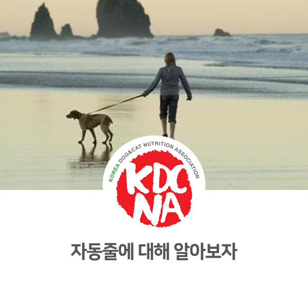  [반려인이 알아야할 필수 정보] 강아지 자동줄 사용법_30