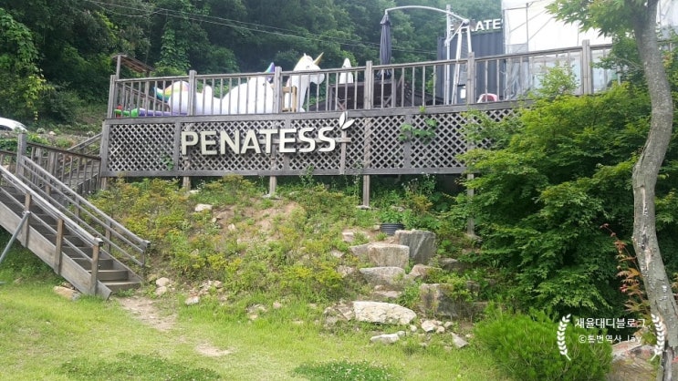  충주펜션 - 페나테스(Penatess) 풀빌라 솔직 후기