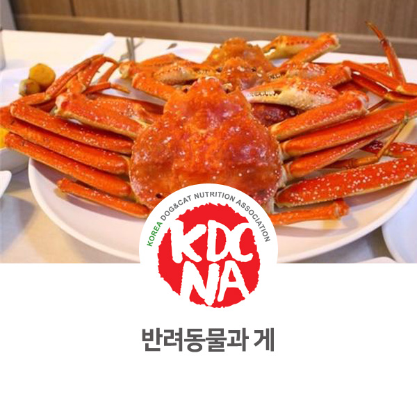  [반려동물 식재료 정보] 강아지 고양이 게 먹어도 될까요?_119