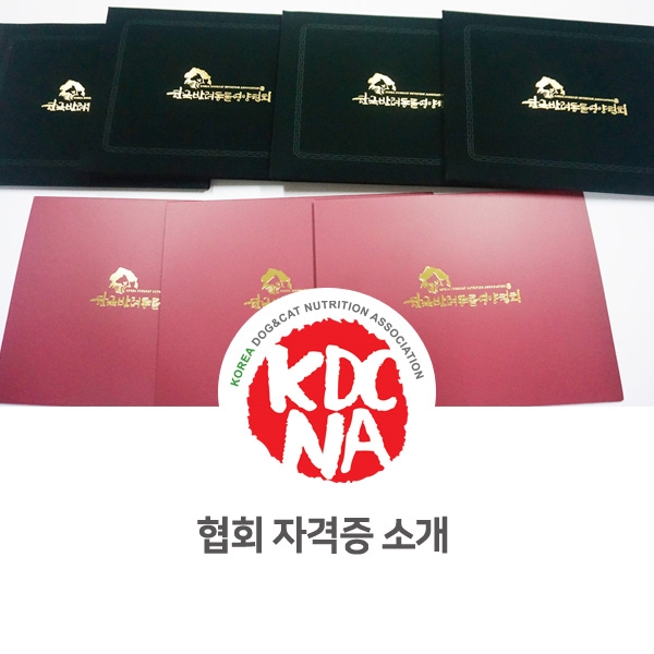  [반려동물 영양 전문 교육] 한국반려동물영양협회 펫푸드 자격증들소개해요_67