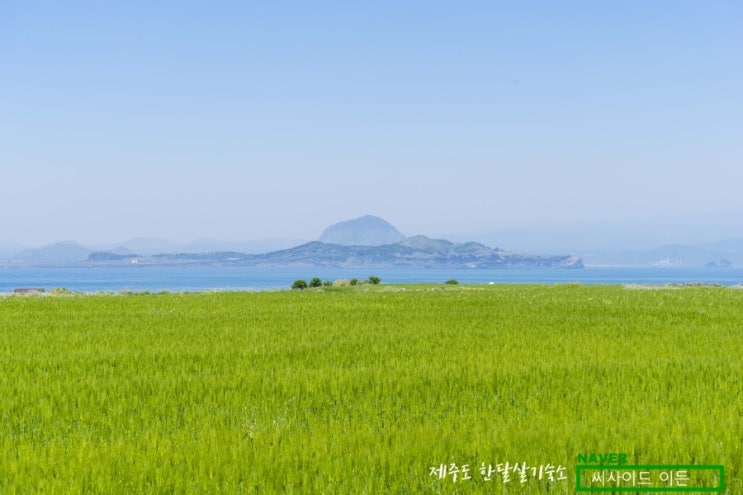  대전-제주 차량탁송비용
