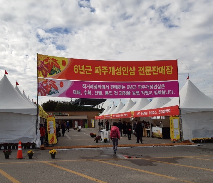  임진각 주차장, <파주개성인삼 직거래 장터> 방문기