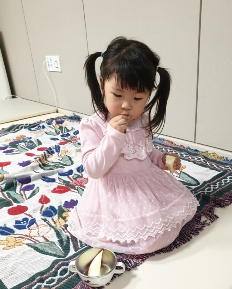  고남매 저녁 산책
