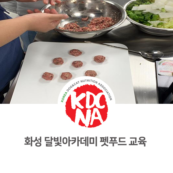  [반려동물 영양 전문 교육] 화성시 달빛아카데미 펫푸드 수업 후기_66