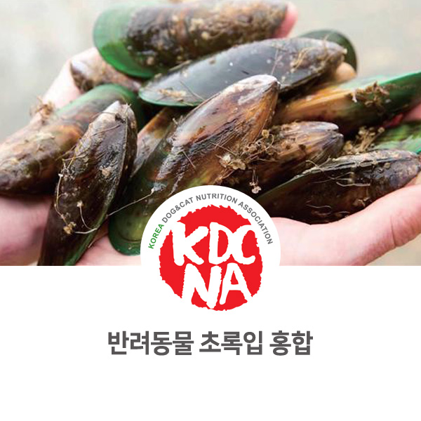 [반려동물 영양 식재료 정보] 강아지 초록입 홍합 알아보자!_122