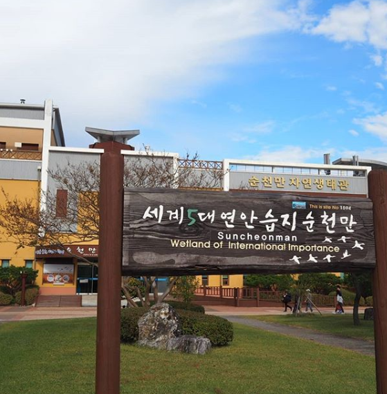  순천만 갈대축제 때 무조건 가야할 곳!!