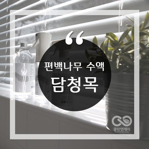  편백나무수액 담청목으로 집안을 상쾌하게~