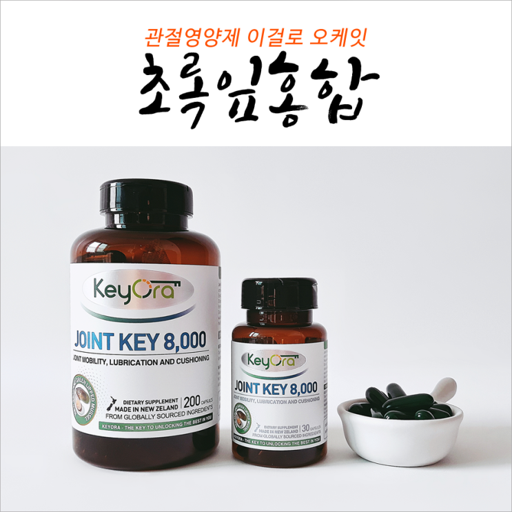  초록잎홍합오일 이걸로 오케잇