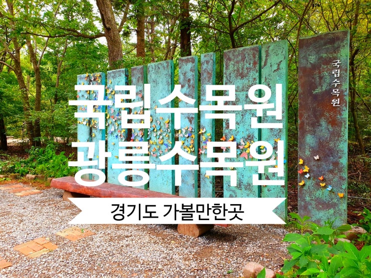  [국립수목원] 광릉수목원 예약방법 및 경기도 가볼만한곳 국내여행지 추천해요.