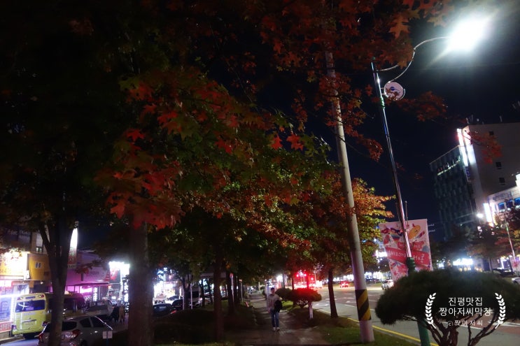  제5회 구미 인동 진미동 대왕참나무가로수 길 도시숲 문화축제
