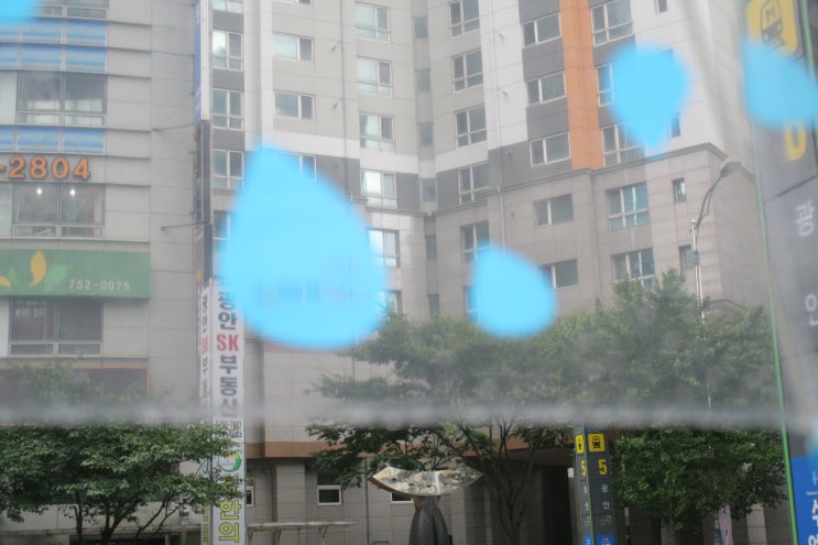비오는 금요일 깜찍한 비닐우산과 함께~