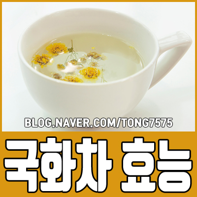  국화차 효능 8가지 알아보기