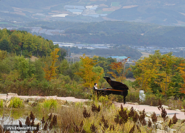 DMZ자생식물원 - 전시원에 울려퍼지는 피아노 연주곡