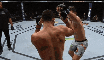 UFC 보스턴 : 레예스 vs 와이드먼 피니시 영상(GIF) 및 뒷얘기