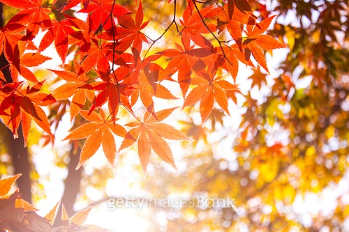 너무 졸리다면 커피 섭취를 줄여보세요(+위장 건강) 너무 졸리다면 커피 섭취를 줄여보세요(+위장 건강)