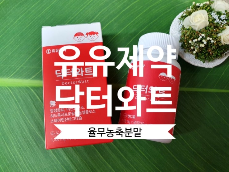  [율무영양제] 유유제약 #닥터와트 율무농축분말 강아지모양 츄어블