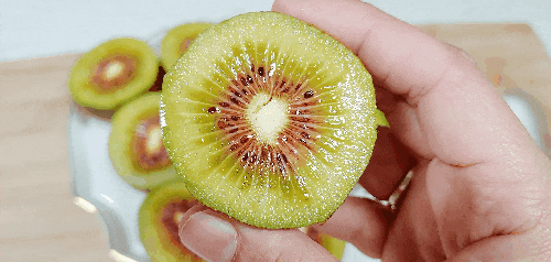  제주 맛있는 레드키위 최저가로 싸게 사는 법