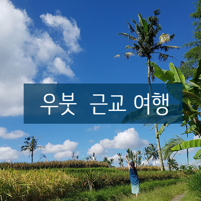 여자혼자발리여행 )  우붓 근교 가볼만한곳 (뜨갈랄랑 라이스필드, Desa Pakraman Sebatu, Gunung Kawi Temple)