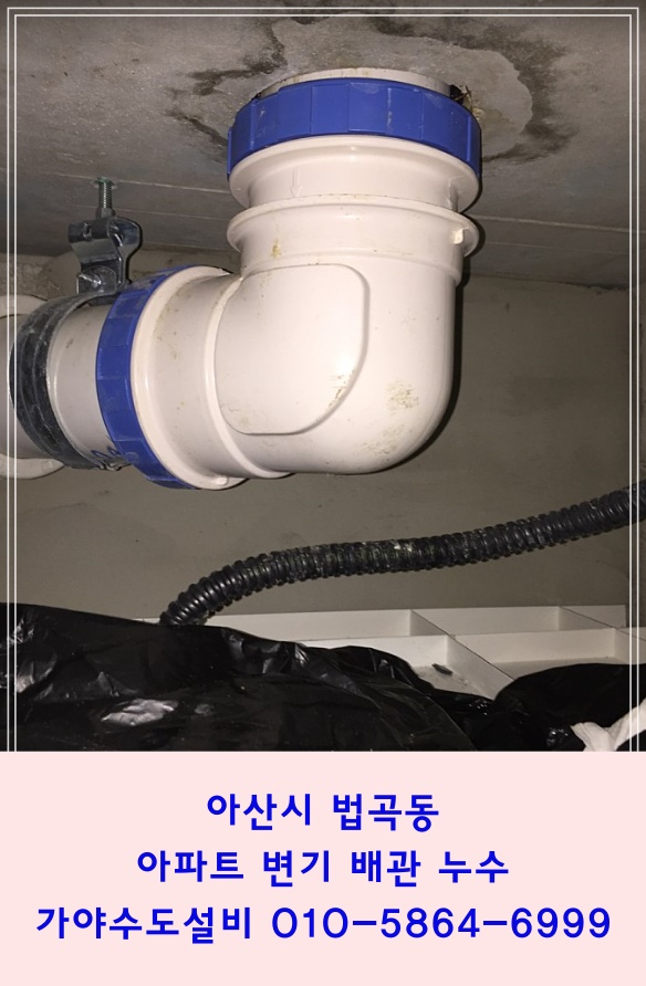  아산시 법곡동 코아루아파트 pvc변기배관누수 화장실천장누수 pvc배관수리 아산누수배관수리전문