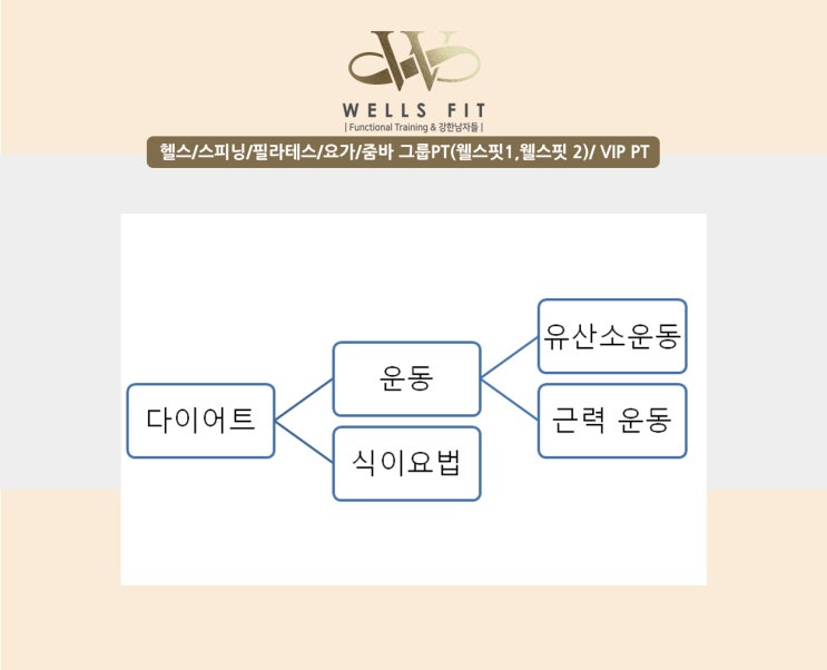  역북동 헬스장 웰스핏 - 다이어트 접근법(운동)