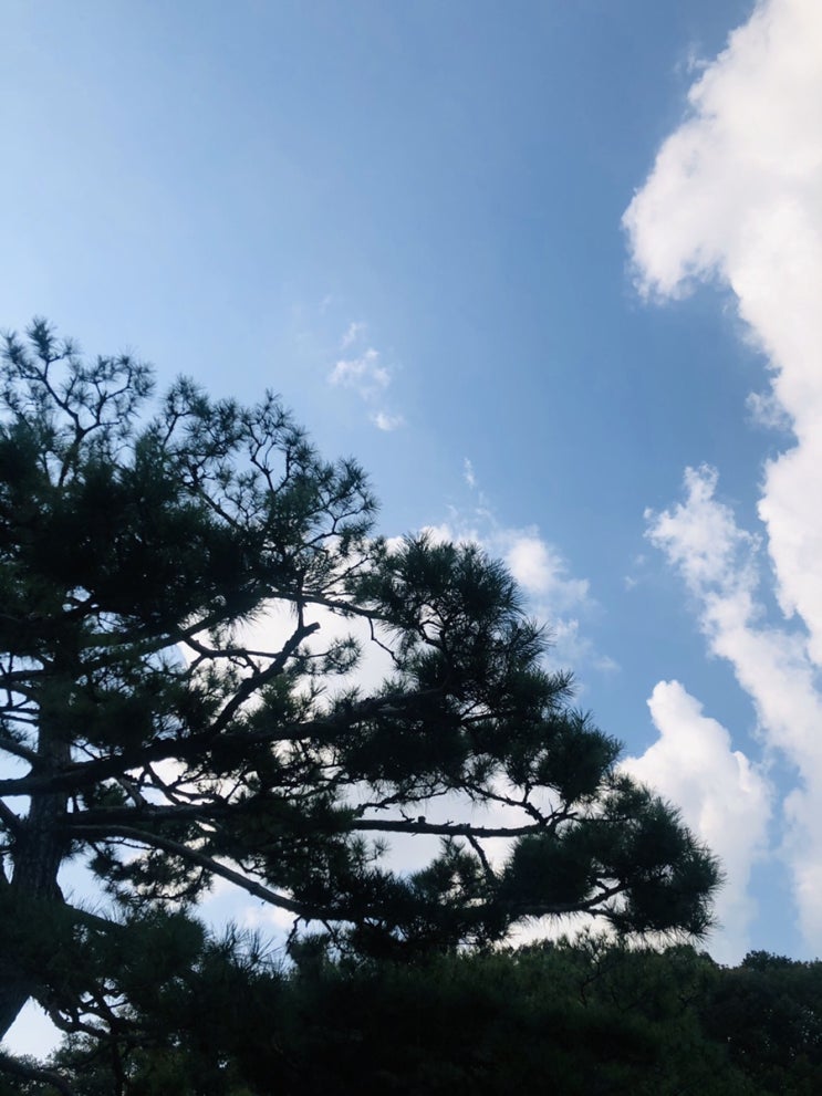  가을하늘 민속촌 나들이