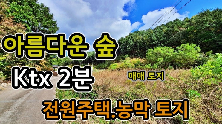  강원도 평창 토지매물 ktx 2분 고속도로3분  아름다운 숲 아래 위치하며  개울물 흐르는 교통편의 좋은곳 땅매매 귀농귀촌토지