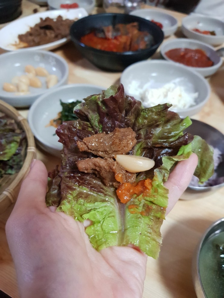  [대연동 밥집] 부산문화회관 밥집 부산 쌈밥 문화쌈밥 / 부산국화축제 / 가배향화
