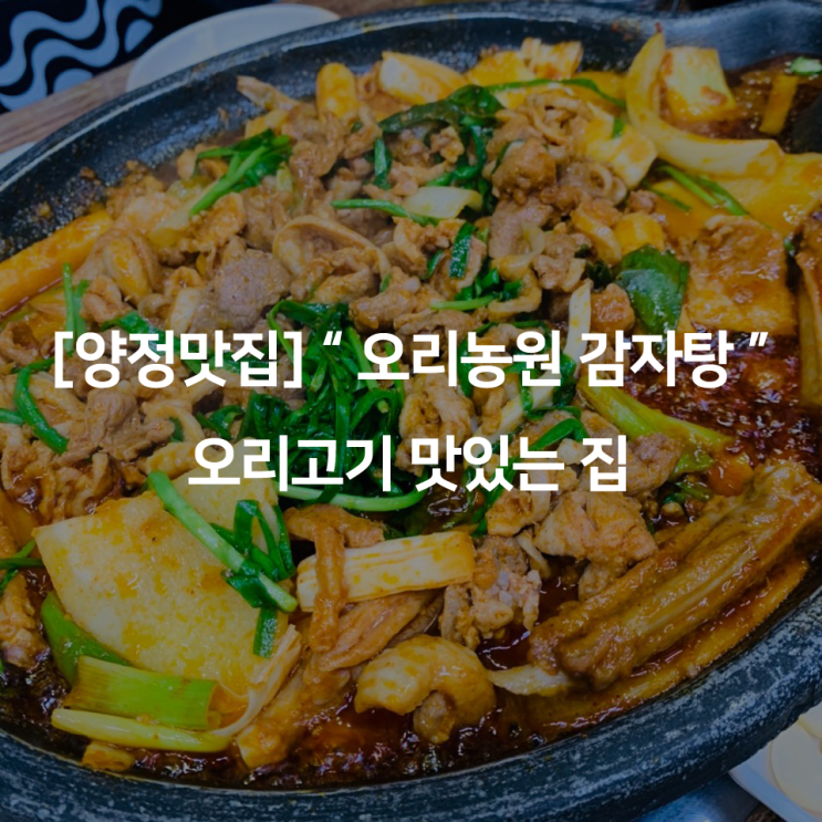  [양정맛집] " 오리농원 감자탕 " 오리고기 맛있는 집