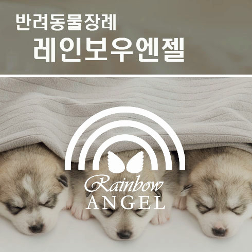  강아지장례식 고양이장례식 꼭 확인해봐야 할것들!!