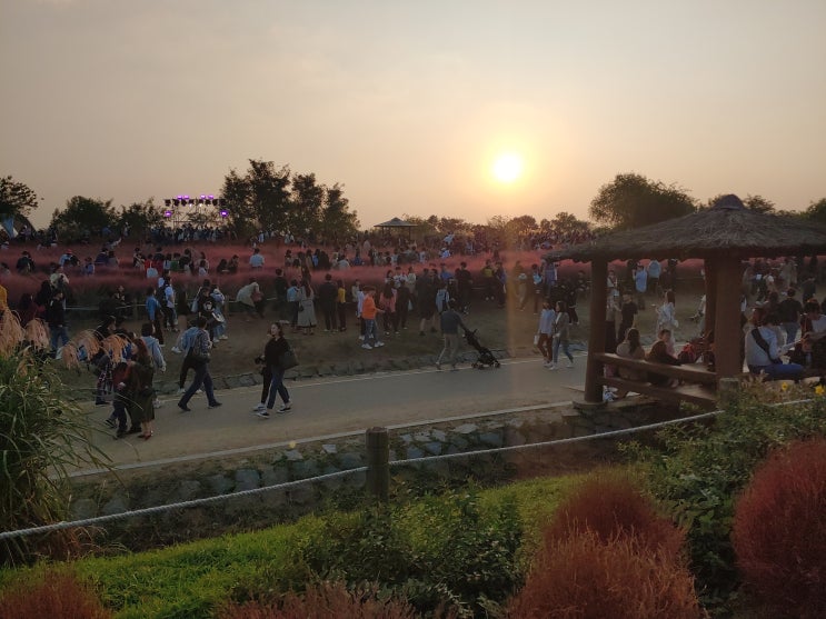  하늘공원 억새축제
