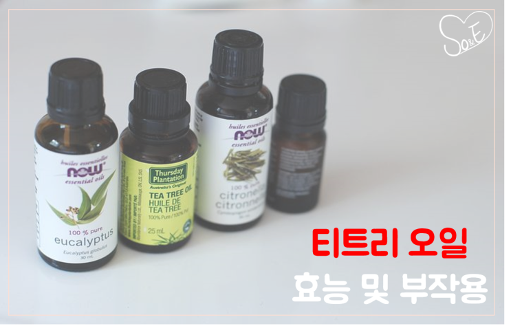  티트리 오일 효능 및 부작용