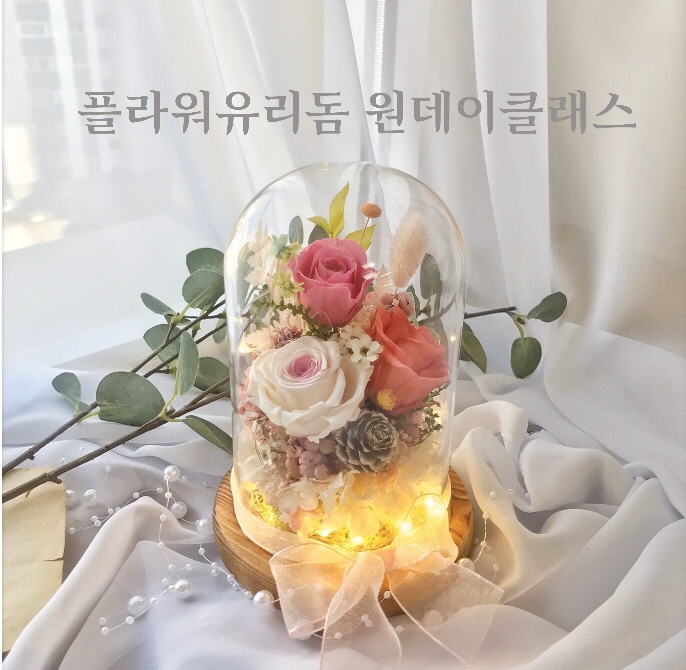  [부산프리저브드플라워]  플라워유리돔 원데이클래스 : 부산 수영 광안 프리저브드플라워 전문 스튜디오 오하나플라워
