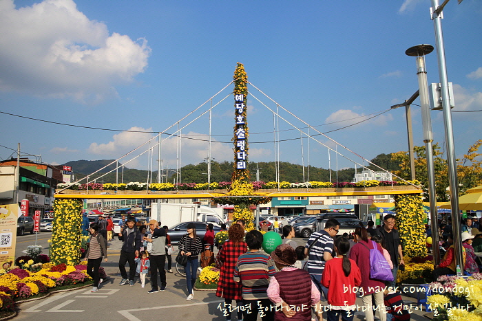  충남 예산 삼국축제 - 신라, 고구려, 백제 말고 국화, 국밥, 국수라서 삼국 가을축제