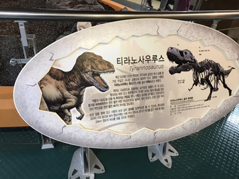  영종도가볼만한곳 인천학생과학관 영종도과학관이죠