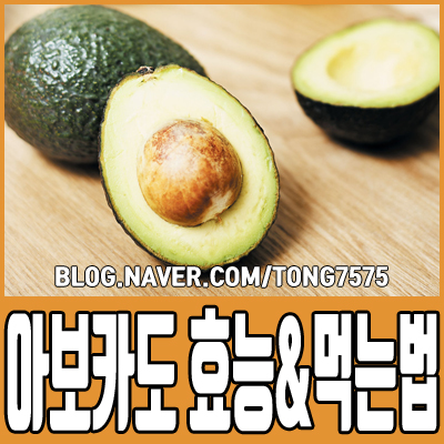  아보카도 효능과 먹는법 이거였구나