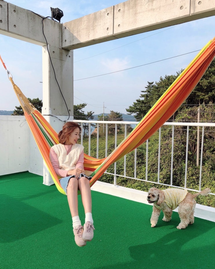  안면도애견펜션 '빌라노마드' 바다가 코앞! 코코가 좋으면 나도 좋아