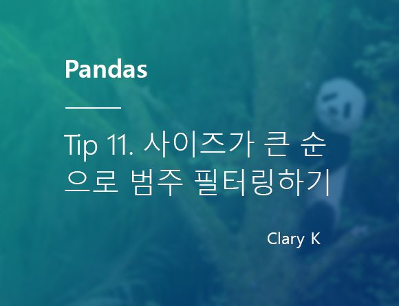 [파이썬] 판다스(pandas) 팁11. 사이즈가 큰 순서대로 범주 데이터 필터링하기