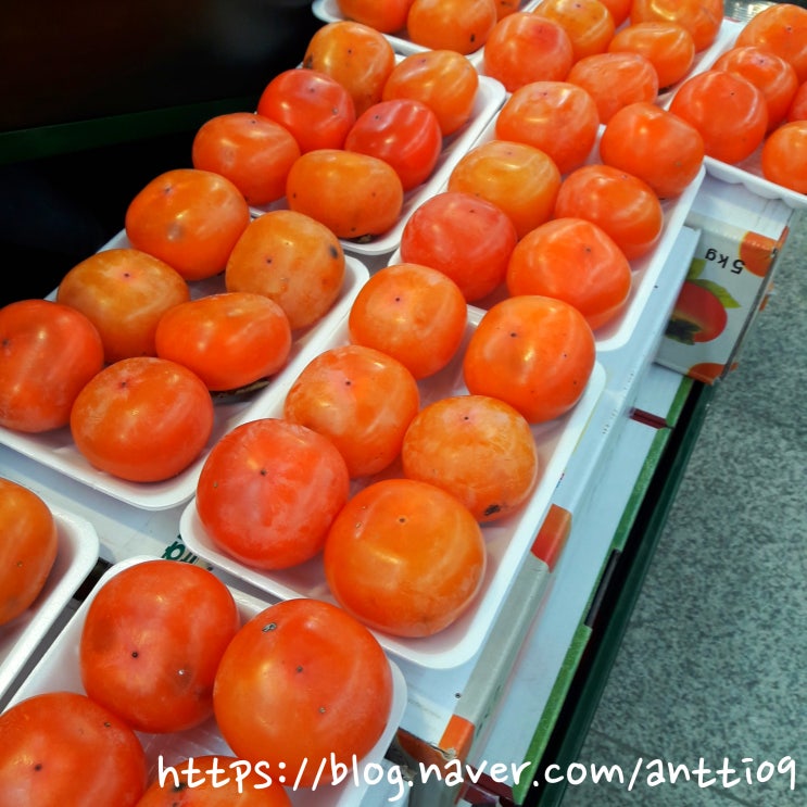  연시와 단감