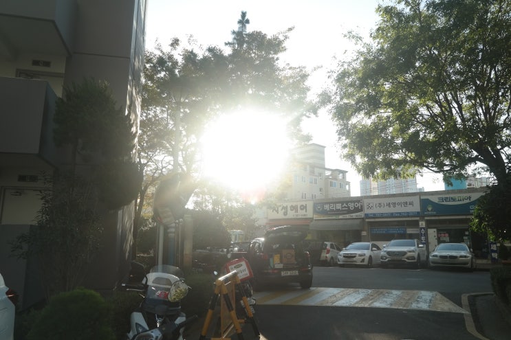  아침 햇살을 가르며 월요일 활기 차게 출발합니다.