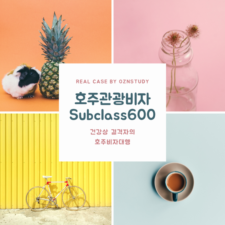  건강상 결격사유자의 호주관광비자(subclass 600) 대행