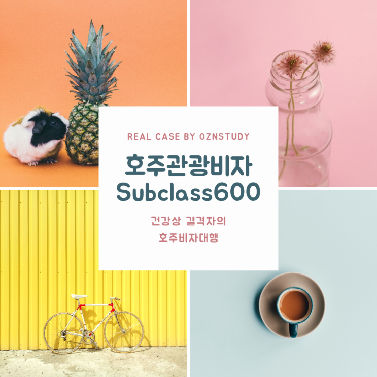 건강상 결격사유자의 호주관광비자(subclass 600) 대행