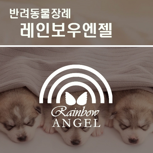  서울 수원 용인 안양 성남 구리 남양주 강아지장례 강아지화장, 그 합리적인 선택방법은?