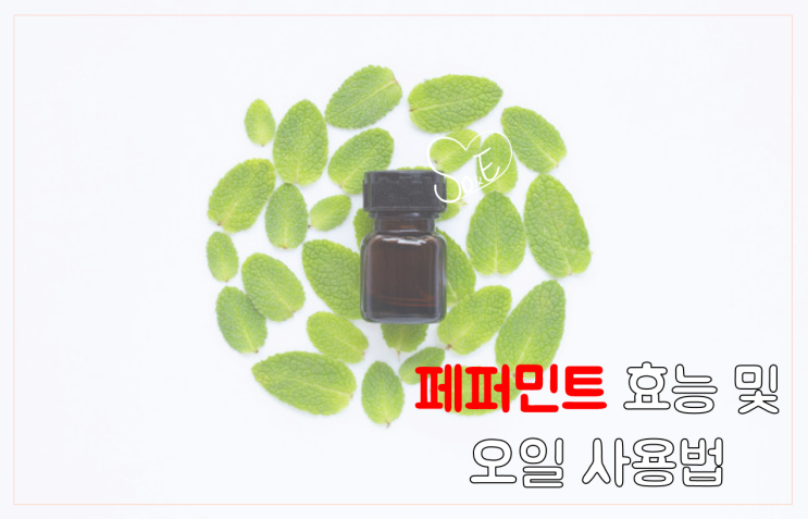  [탈모 샴푸 성분] 페퍼민트 효능 및 오일 사용법