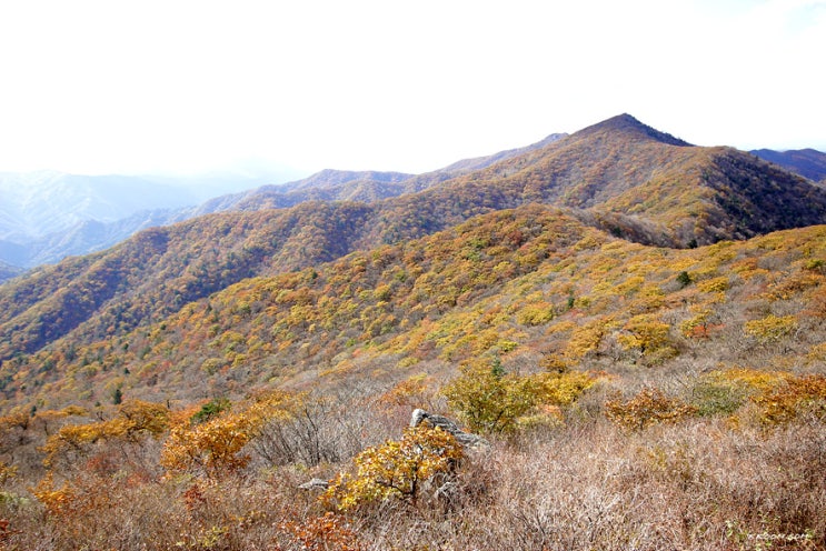 인제 방태산 단풍 등산(자연휴양림~구룡덕봉~주억봉 코스)