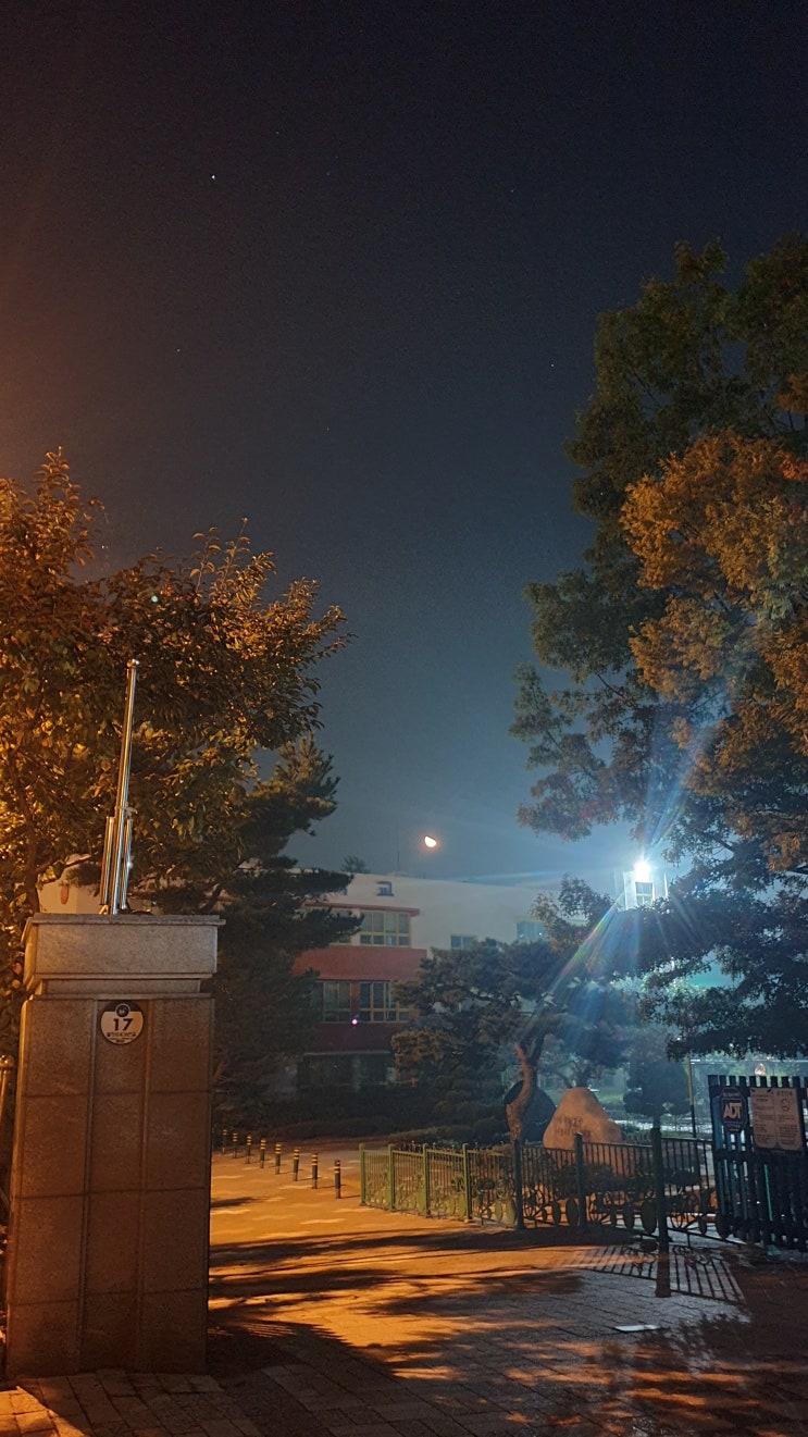 2019.10.20 밤풍경 퇴근 후 보는 반달  오렌지달