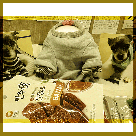  반려동물화장 했던 하늘숲 친구따라 다시 다녀왔네요.