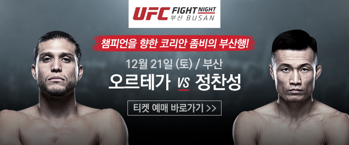 UFC 부산 티켓 구입