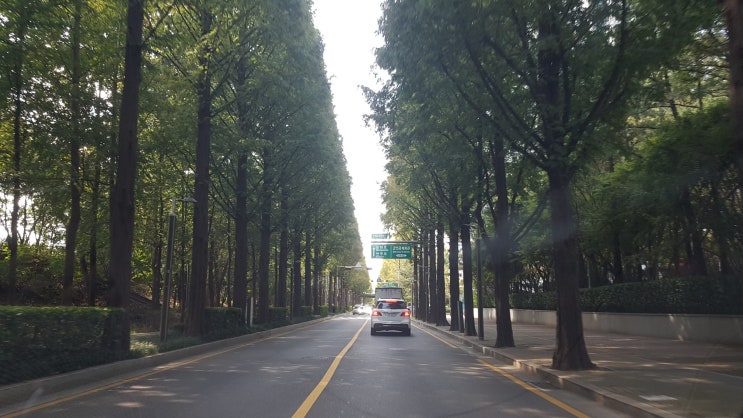  관계의 힘...신사임당 류캔두잇 창업다마고치 오너리스크를 보면서