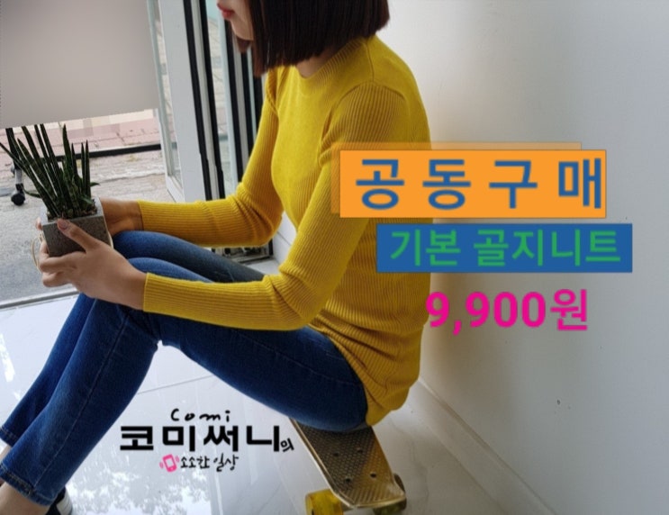 2019년 신상 기본 골지니트 공동 구매 [9가지 색상] 공구가 9,900원